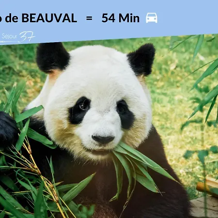 1# Central'tours Bleu - Hypercentre 투르