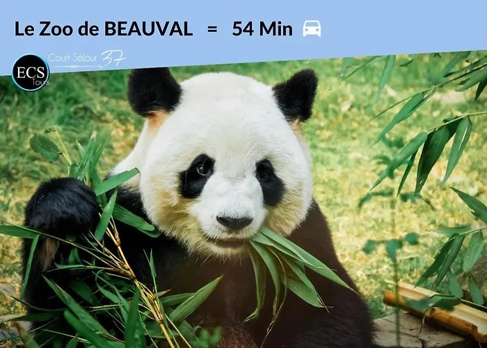 1# Central'tours Bleu - Hypercentre Tours